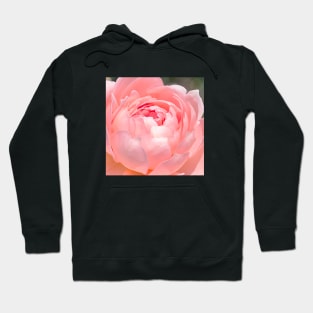 Painted Rose Hoodie